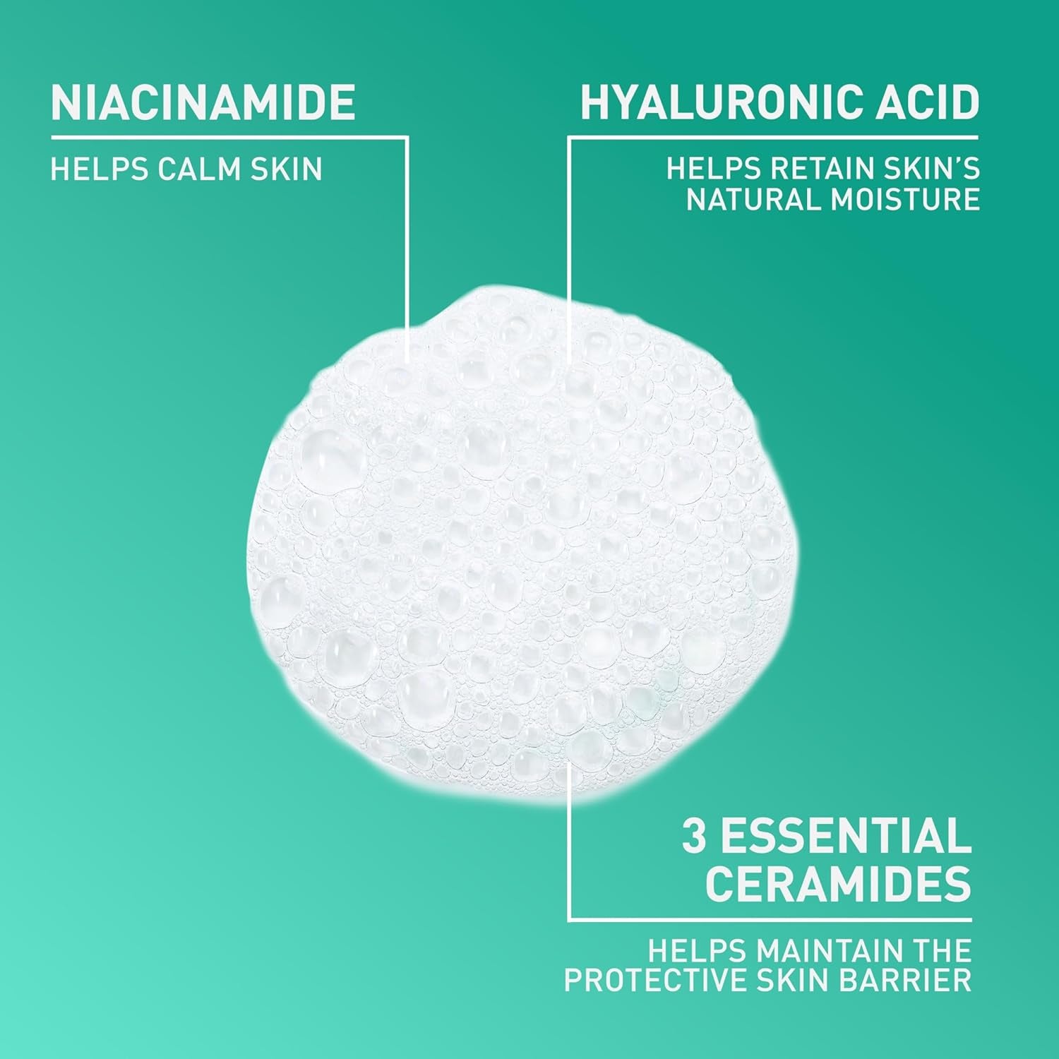 Foaming Facial Cleanser, Face Wash for Oily Skin, 19Oz