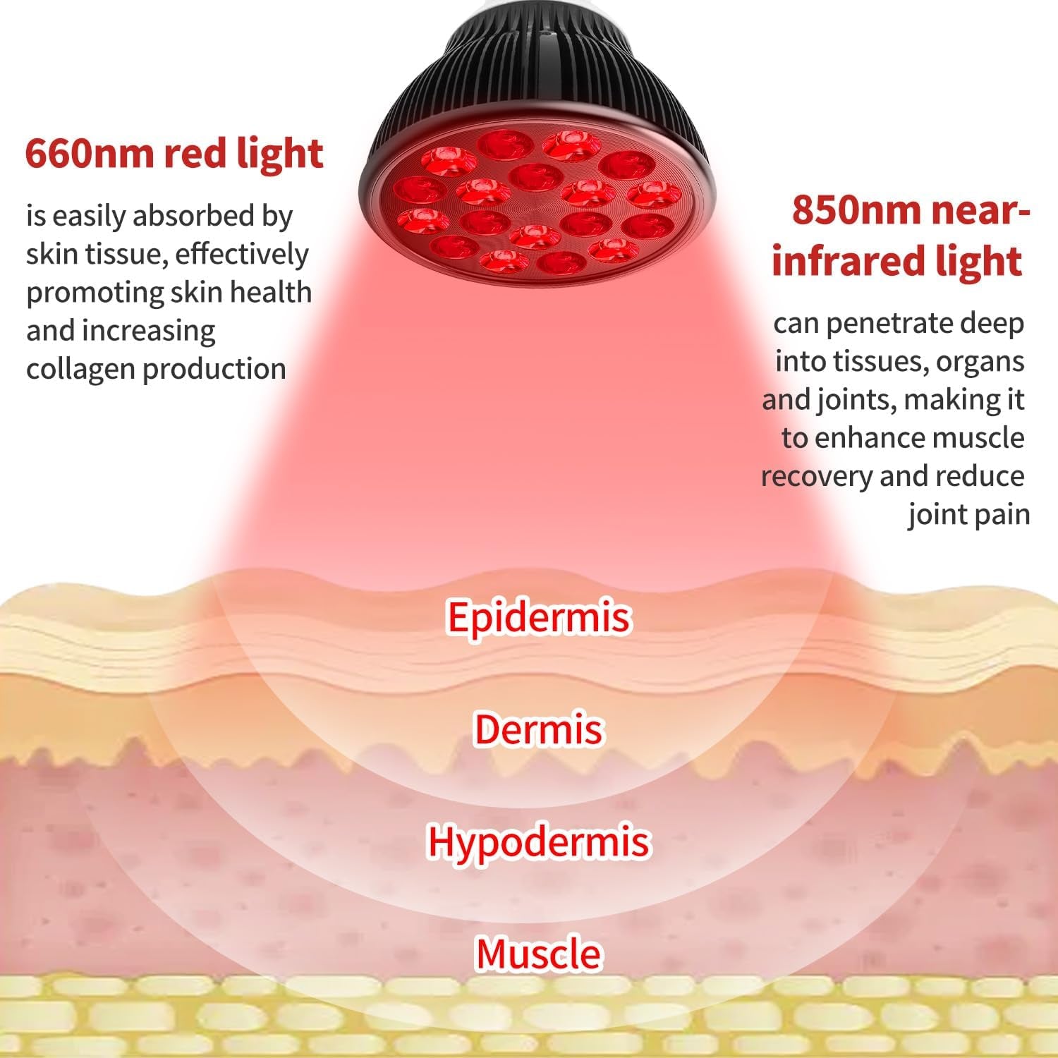 Red Light Therapy Bulb, Red Light Therapy for Body and Face Use, 18 Leds 660Nm Red and 850Nm near Infrared Red Light Therapy Lamp Suitable E26 Socket (Only Bulb)